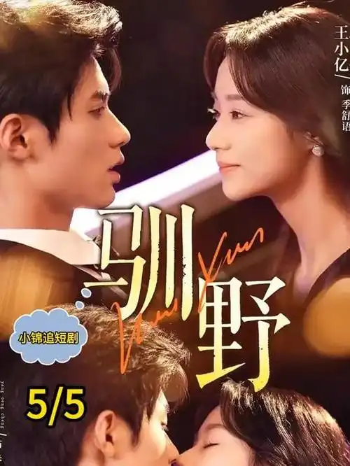 热播电视剧长风渡月全集在线观看